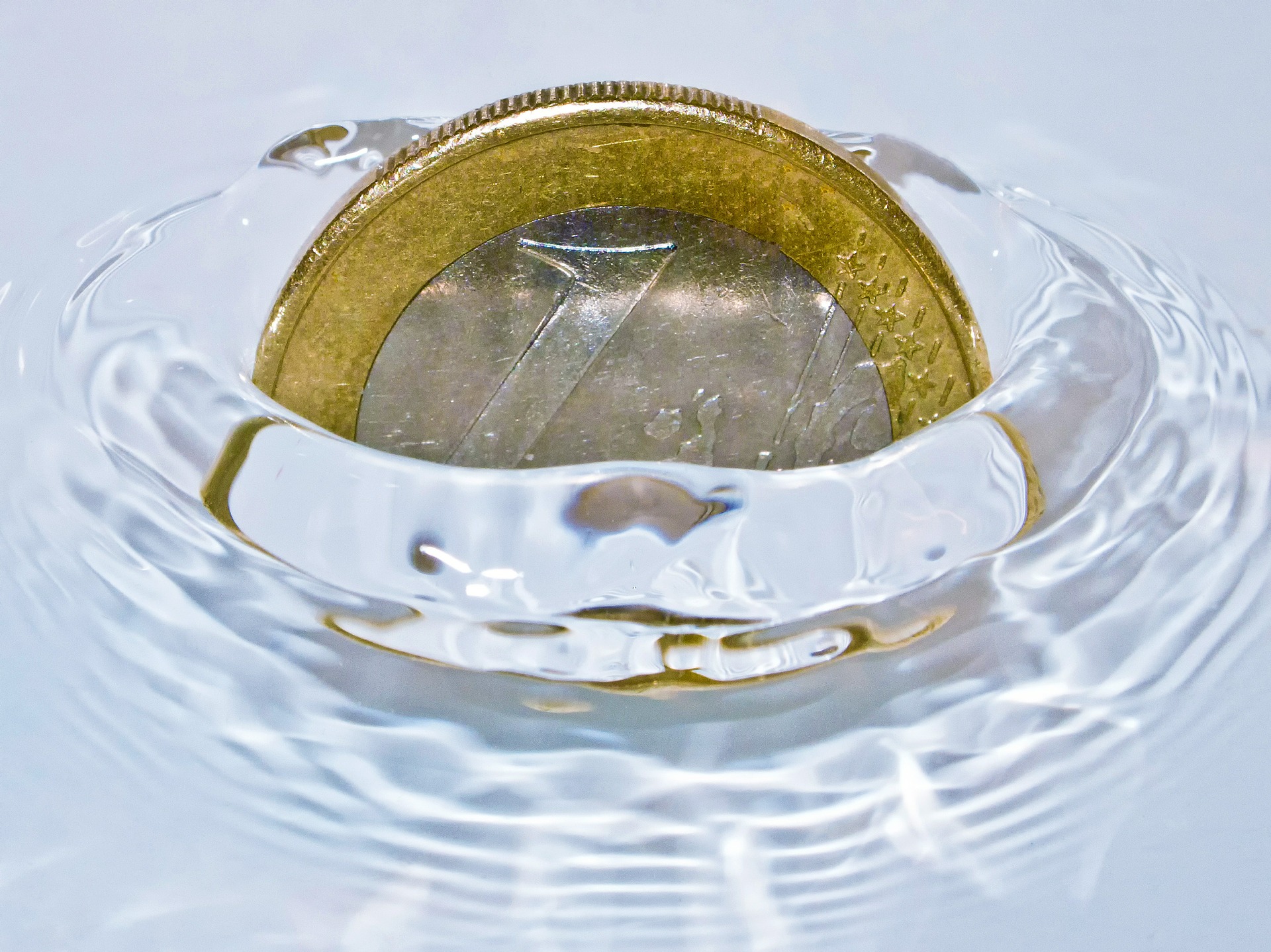 Beiträge / Gebühren